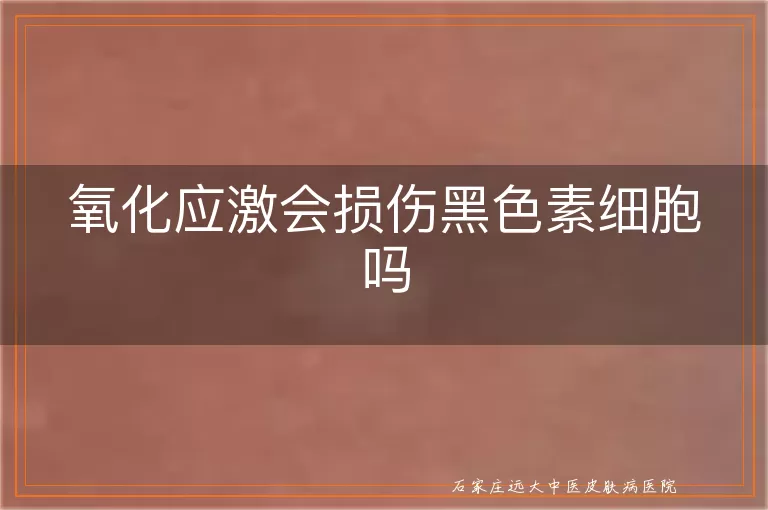 氧化应激会损伤黑色素细胞吗