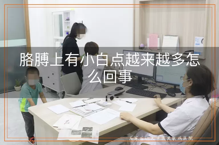 胳膊上有小白点越来越多怎么回事