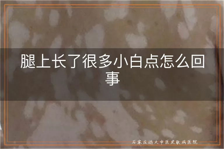 腿上长了很多小白点怎么回事